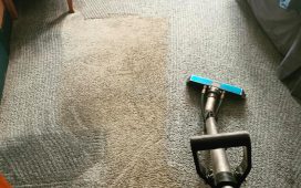 Indispensable reasons for getting your carpets periodically cleaned by professional carpet cleaners