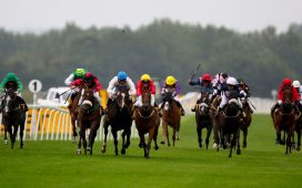 Horse Betting Tips - How to Read a Racecard