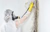 Mold Remediation Services in Gilbert AZ A Comprehensive Guide