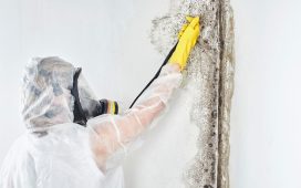 Mold Remediation Services in Gilbert AZ A Comprehensive Guide
