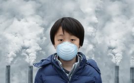 Effect Of Air Pollution In 2024