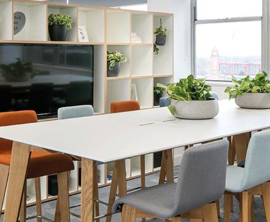 You can use living walls to create an ideal working environment for your staff