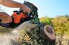 Tree Cutting in Gold Coast