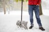 Why it is beneficial to hire commercial snow removal services in Brampton