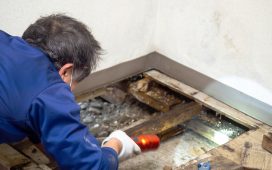 Reasons why should have slab leaks repaired without undue delays