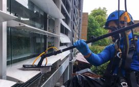 Crystal Clear Views Transform Your Homes Appeal with Professional Window Cleaning