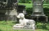 Honouring Unspoken Bonds Finding Peace Love and Closure in a Pet Cemetery