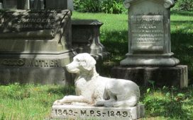 Honouring Unspoken Bonds Finding Peace Love and Closure in a Pet Cemetery