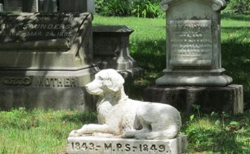 Honouring Unspoken Bonds Finding Peace Love and Closure in a Pet Cemetery