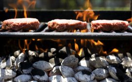 Ignite the Flavour Why Choosing the Right BBQ Coal Makes All the Difference