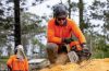 Say Goodbye to Unsightly Tree Stumps Enhance Your Outdoors with Stump Grinding in Gold Coast