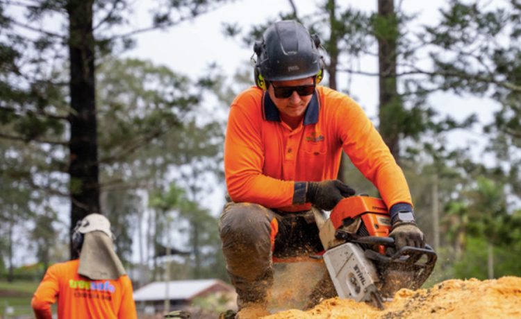 Say Goodbye to Unsightly Tree Stumps Enhance Your Outdoors with Stump Grinding in Gold Coast