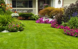 Transform Your Outdoor Space with Inspired Landscape Design in Adelaide