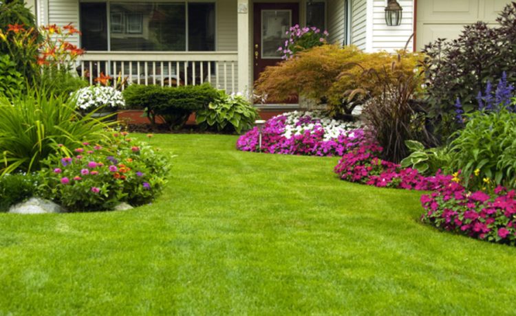 Transform Your Outdoor Space with Inspired Landscape Design in Adelaide