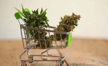 Where should you buy cannabis supplements for your good health