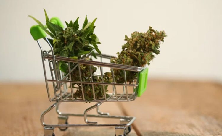 Where should you buy cannabis supplements for your good health
