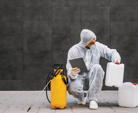 A trusted pest control company can help you out in Columbus