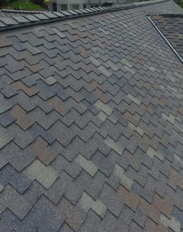 Benefits of Roof Renovating Services on Modern Properties